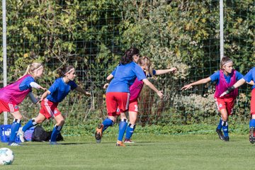 Bild 34 - wBJ HSV - SV Meppen : Ergebnis: 0:2